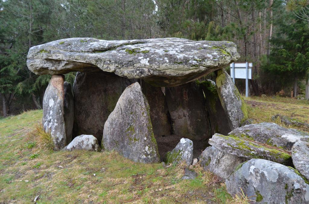 Villa De Paco Sever do Vouga Eksteriør billede